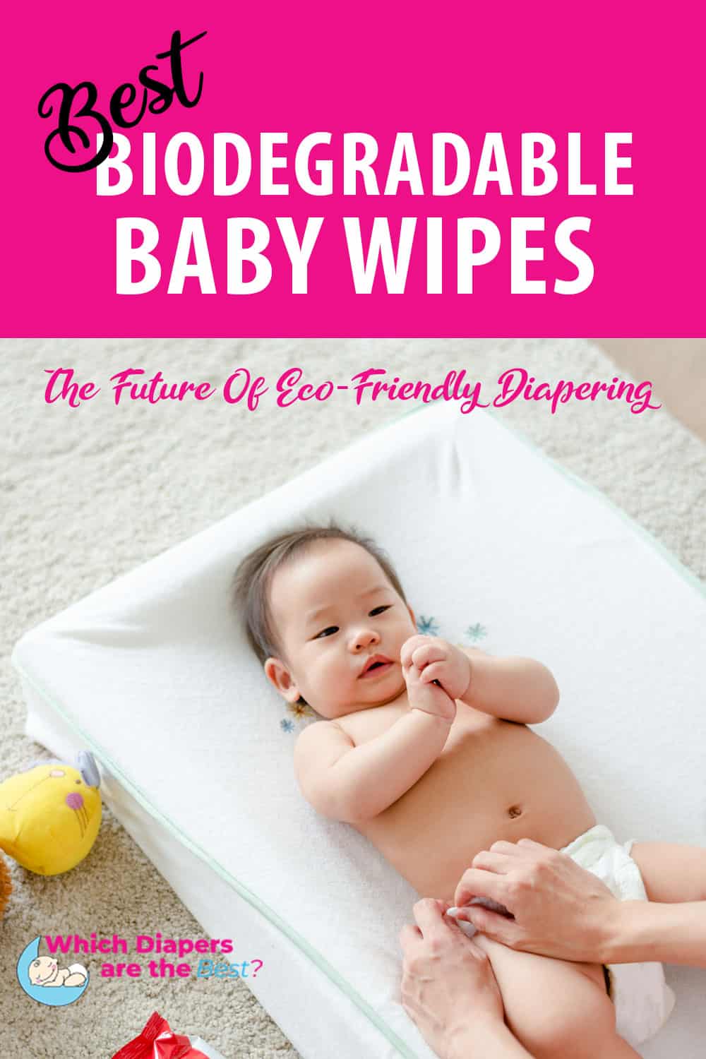 best biodegradable baby wipes pin